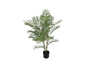 SILK ALBIZIA JULIBRISSIN UMBRELLA PLANT GREEN 97CM ]